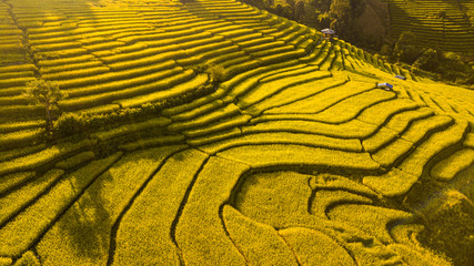 Rice terrace fields or Ladder rice field in aerial view at Pabongpeang , Maejam Village , Chaingmai Province of Thailand