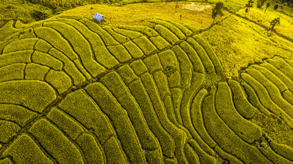 Rice terrace fields or Ladder rice field in aerial view at Pabongpeang , Maejam Village , Chaingmai Province of Thailand