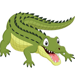 Cartoon crocodile isolated on white background