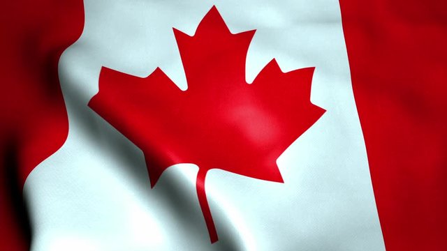Canadian flag waving in wind video footage Full HD. Realistic Canadian Flag background. Canada Flag Looping Closeup 1080p Full HD 1920X1080 footage. Canada North American country flags Full HD