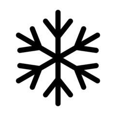 snowflake in the winter