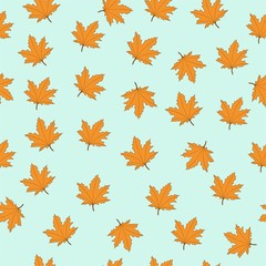 Obraz premium Maple leaves, seamless pattern with leaf on blue background