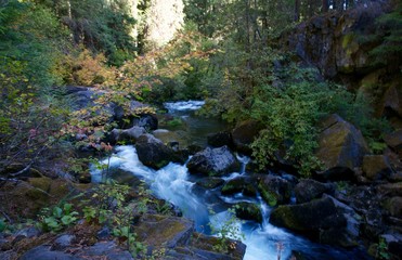 Obraz premium Autumn Stream