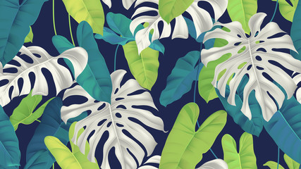 Foliage seamless pattern, white and green split-leaf Philodendron and Philodendron burle marx plant on dark blue © momosama
