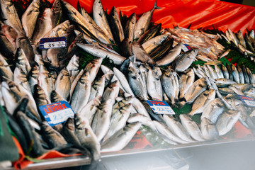 Showcase on the market with freshly caught fish sea bass mackerel dorado. Beautiful layout.