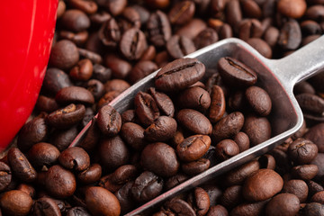 Coffee beans with metal scoop, top view.