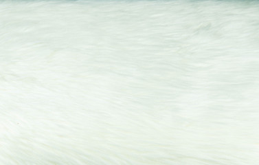 Obraz premium The paper used to predict fate is called Paper Fortune teller. Resting on white fur Ready to be used to predict people's future. Sometimes it is used as a fun game to play. Space for copy space.