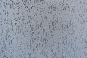 Detailed texture. White wall with stucco bark beetle, abstract background