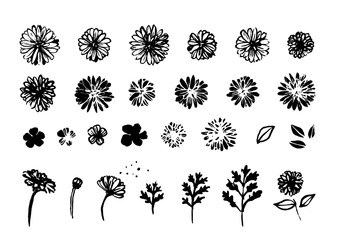 set of vector flowers