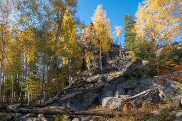 Stone blockages in the autumn forest