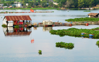 Beautiful Vietnamese fishing village on Dong Nai river, floating house, fishing tank, water hyacinth