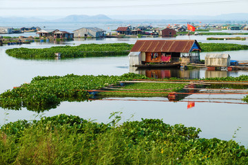 Beautiful Vietnamese fishing village on Dong Nai river, floating house, fishing tank, water hyacinth
