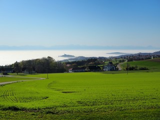 Fototapeta na wymiar View from Lichtenberg to Pöstlingberg in Linz in Austria