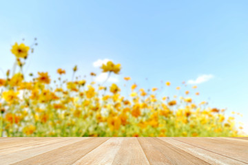 Empty top wooden table on blurred cosmos flowers in nature