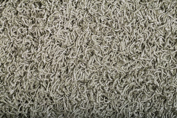 Carpet covering background. Pattern and texture of green carpet. Copy space