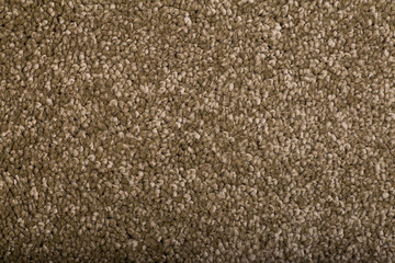 Carpet covering background. Pattern and texture of dark green carpet. Copy space