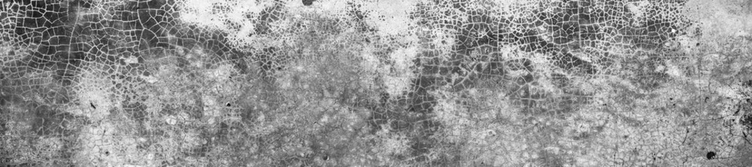 Black and white picture Panorama,Old Wall with Moldy Peeling White Painting from Humidity. Cracked White Wall as Rusty Concrete Weathered Wall Grunge Background or Abstract Backdrop