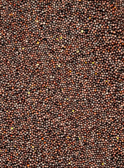 Brown Mustard Seeds on a white background