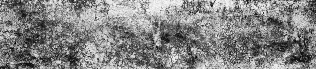 Black and white picture Panorama,Old Wall with Moldy Peeling White Painting from Humidity. Cracked White Wall as Rusty Concrete Weathered Wall Grunge Background or Abstract Backdrop Wallpaper Vintage 