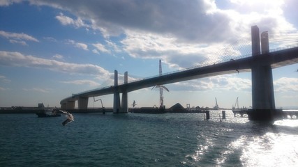 橋