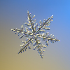Snowflake on smooth gradient background. Macro photo of real snow crystal: complex stellar dendrite...