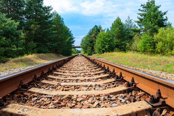 Fototapeta na wymiar Railroad track through a green pine forest