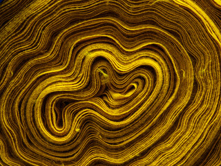 Golden roll of knitted fabric. Texture, background