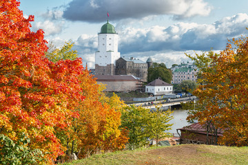 A view of Vyborg from Petrovsky park.