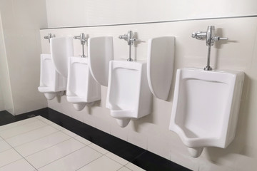 public men toilet room with white sanitary ware