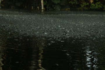 rainfall in the rainforest