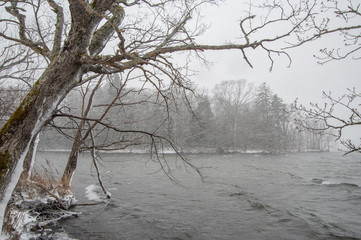 吹雪の湖。