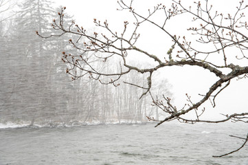 吹雪の湖。