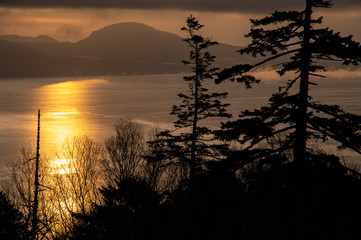 朝の太陽、木のシルエット、光と影の風景に輝く湖。