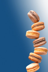 Macaroons group isolated on a blue background.