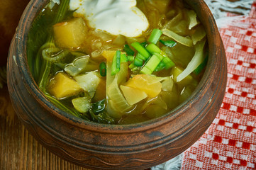  Russian  Cabbage and Turnip Soup