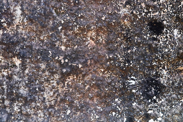 gray ragged concrete wall. texture. background. Grunge