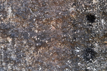 gray ragged concrete wall. texture. background. Grunge