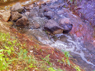 creek with running cold water on a summer day