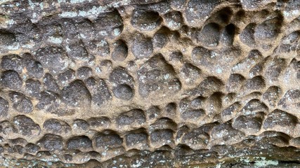 texture of stone