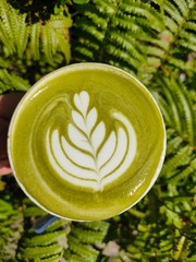 Hot matcha green tea latte art.
