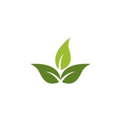 Green leaf logo