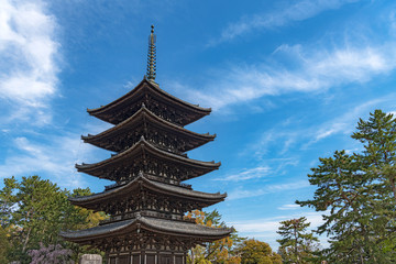 奈良 興福寺 五重塔