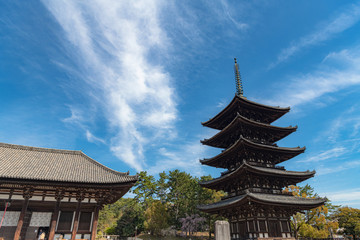 奈良 興福寺 五重塔