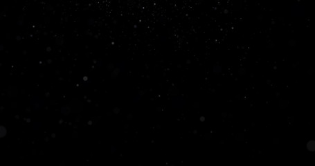 Natural white winter snowfall on a black background