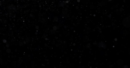 Natural white winter snowfall on a black background