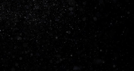 Natural white winter snowfall on a black background