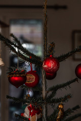 Gros plan sur des décorations de sapins de Noël