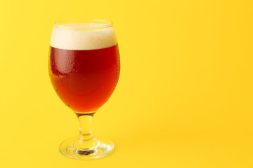 Glass of fresh beer on color background