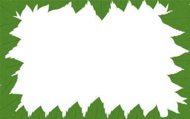frame of green leaves.