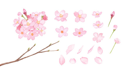 春の花 さくらと丸型フレーム 水彩イラストのトレースベクター Wall Mural Keikotakamatsu
